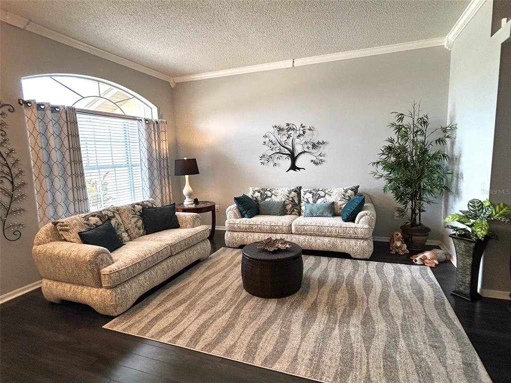 A living room features two patterned sofas, a round ottoman, and a large area rug — 18530 WATER LILY LANE, HUDSON, FL