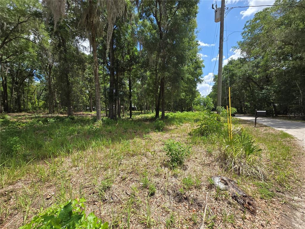 A grassy, wooded vacant lot sits next to a paved road with a utility pole — 0 SW 15TH PLACE, OCALA, FL
