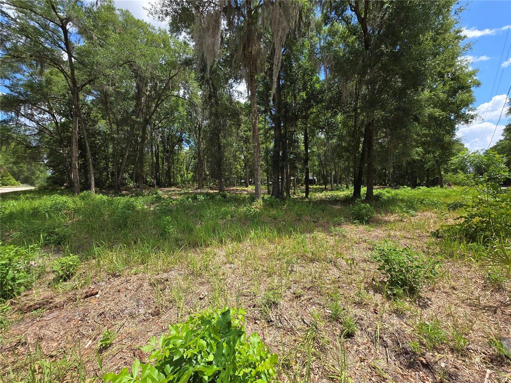 A grassy, partially cleared lot features numerous mature trees with hanging Spanish moss — 0 SW 15TH PLACE, OCALA, FL