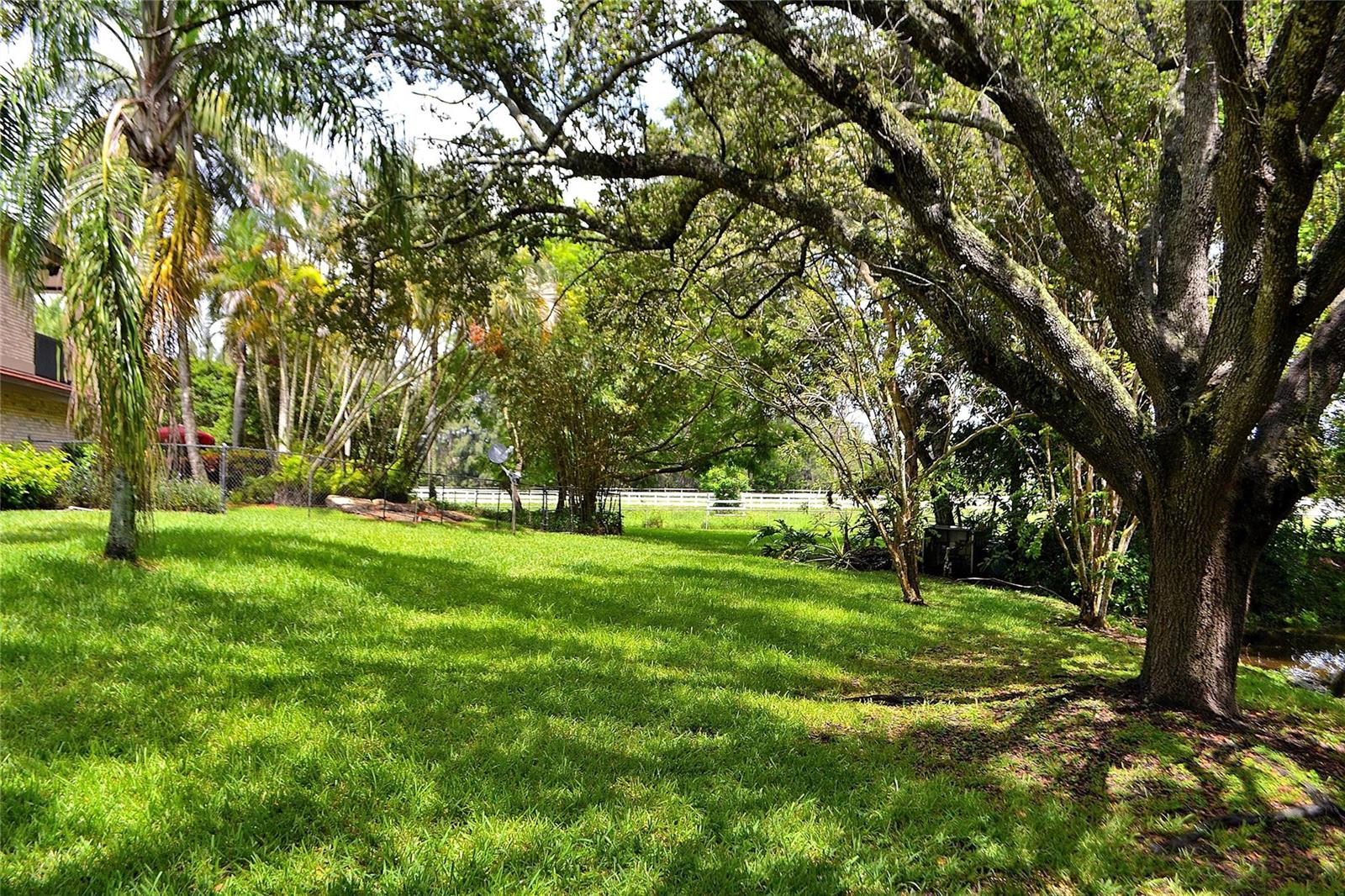 A grassy backyard features a large mature tree, palm trees, and a white fence — 6200 SW 183rd Way, Southwest Ranches FL 33331, SOUTHWEST RANCHES, FL