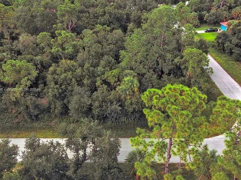 An aerial view shows a wooded, undeveloped lot bordered by a paved road — 145 LOFTIN STREET, PORT CHARLOTTE, FL