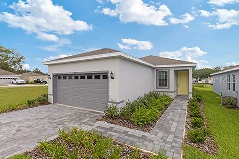 196 DUCKWEED AVENUE