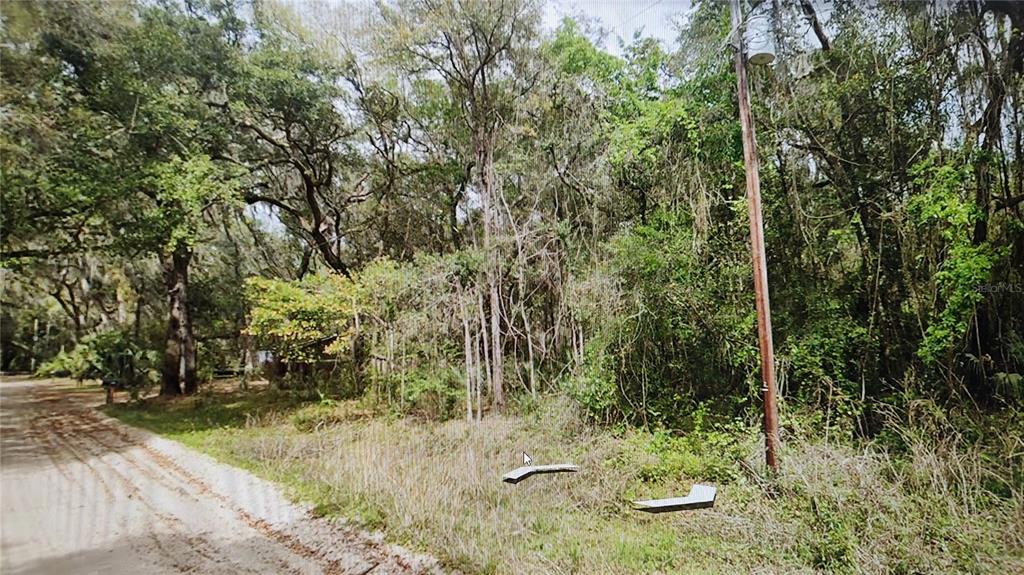 A dirt road runs alongside a densely wooded, undeveloped lot with a utility pole — 00 CLIFFORD STREET, INTERLACHEN, FL