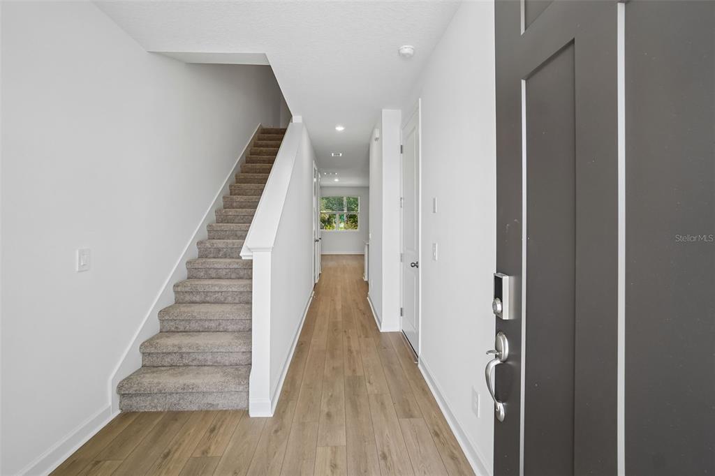 An entryway features wood-look flooring, a carpeted staircase, and a dark gray front door — 7556 DEER VALLEY CIRCLE, TAMPA, FL