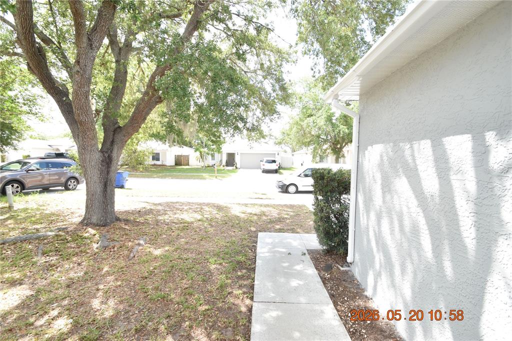 A view from a sidewalk toward a residential street with parked cars and trees — 12116 FELDWOOD CREEK LANE, RIVERVIEW, FL
