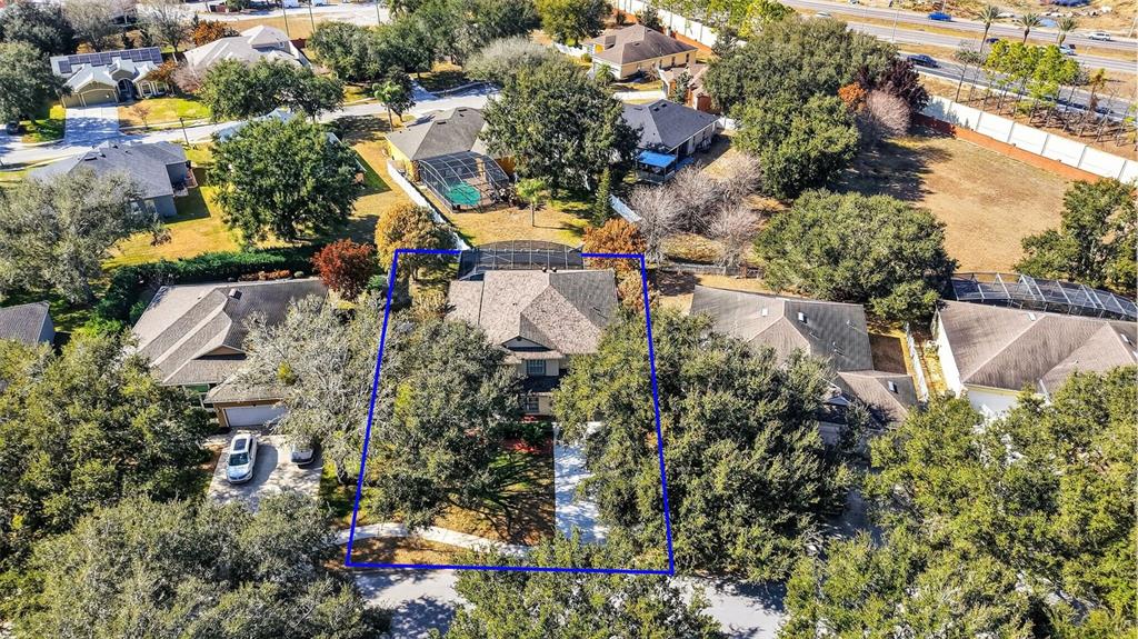 729 STRIHAL LOOP, OAKLAND, FL — photo 3 of 30