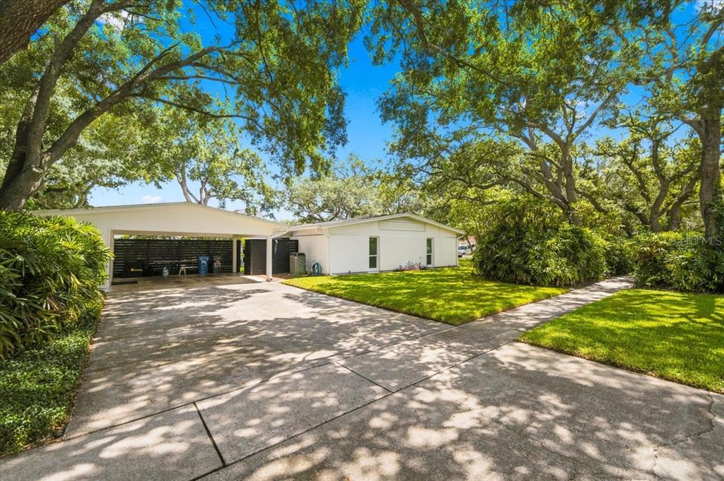 A white single-story house features a large carport, a concrete driveway, and mature shade trees — 10502 SAGO ROAD, TAMPA, FL