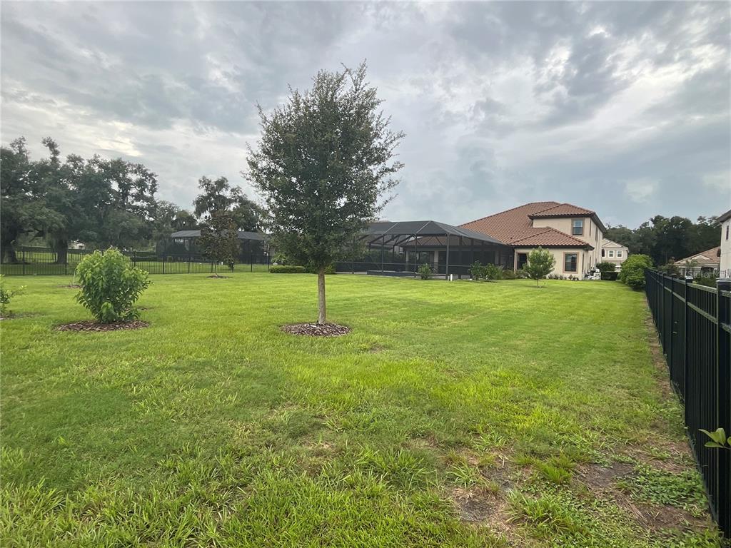 10370 MEADOWRUN DRIVE, LITHIA, FL — photo 2 of 30