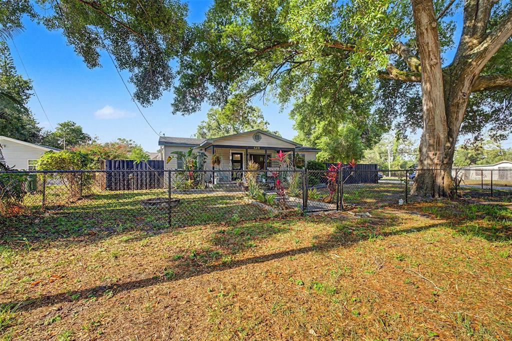 A single-story house with a fenced yard and a large tree in the front — 1318 W RAMBLA STREET, TAMPA, FL