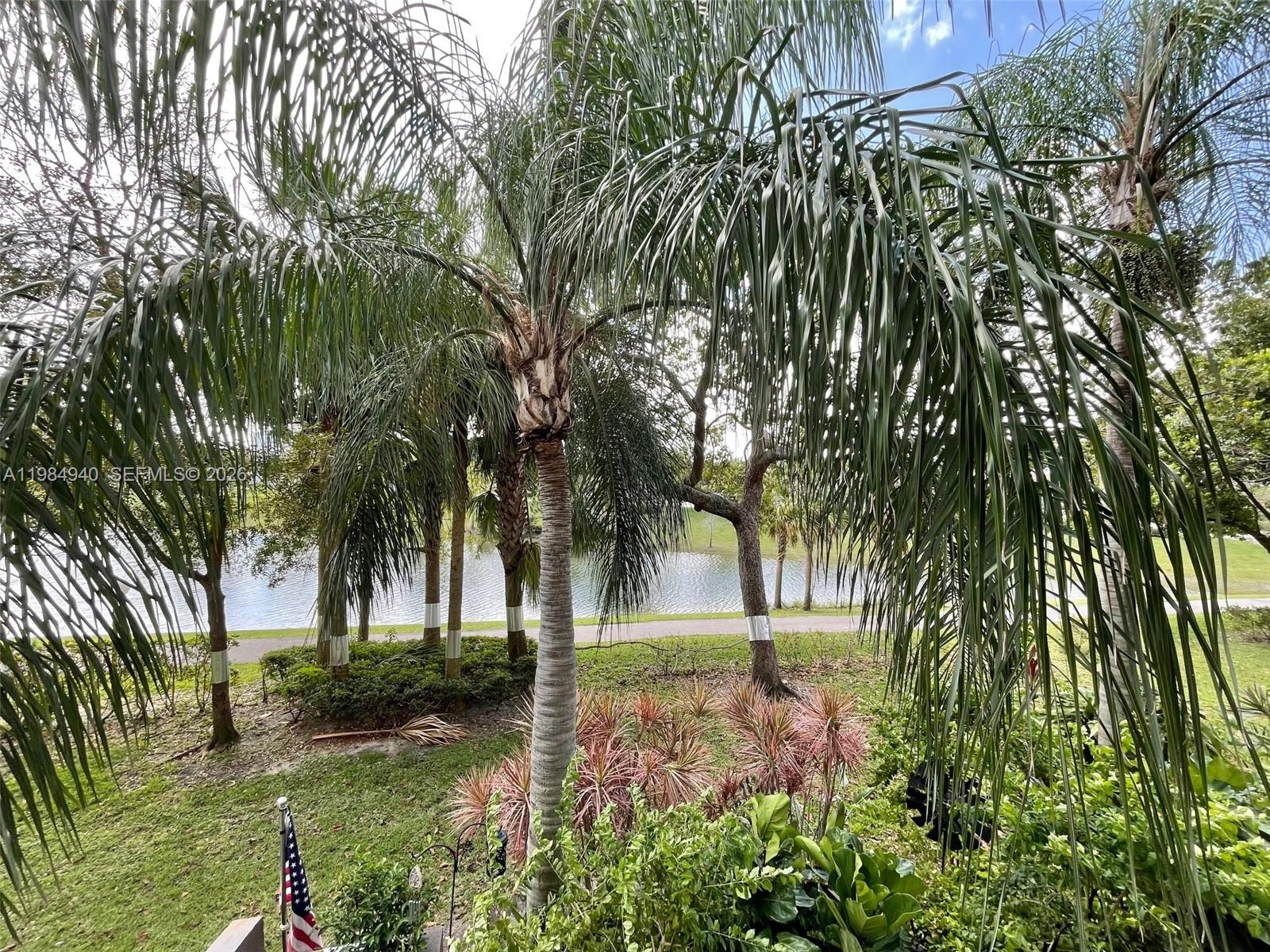 A view of a backyard with palm trees, a small pond, and a paved path — 3850 Washington St # 214, Hollywood FL 33021, HOLLYWOOD, FL