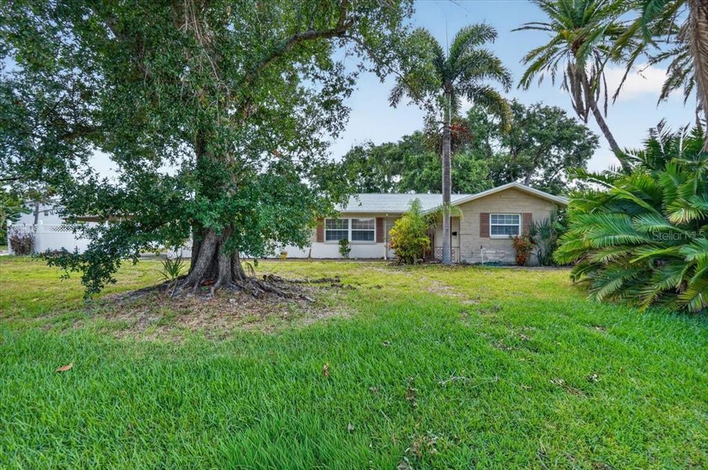 A single-story house with a brick facade sits behind a large tree and palm trees — 6999 16TH AVENUE N, ST PETERSBURG, FL