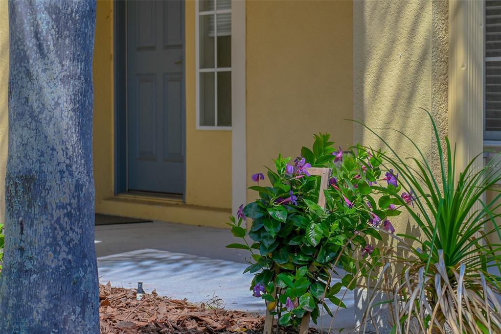 A yellow exterior wall features a blue front door and a flowering plant with a number — 2019 HONEYBELL AVENUE, HAINES CITY, FL