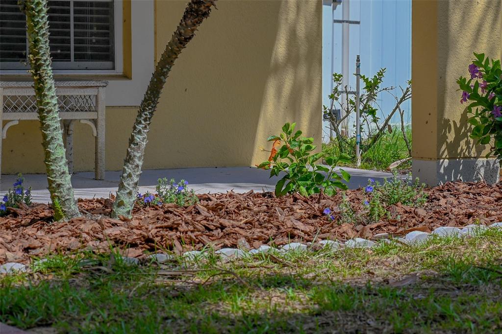 A view of a landscaped garden bed with mulch, small plants, and a house exterior — 2019 HONEYBELL AVENUE, HAINES CITY, FL