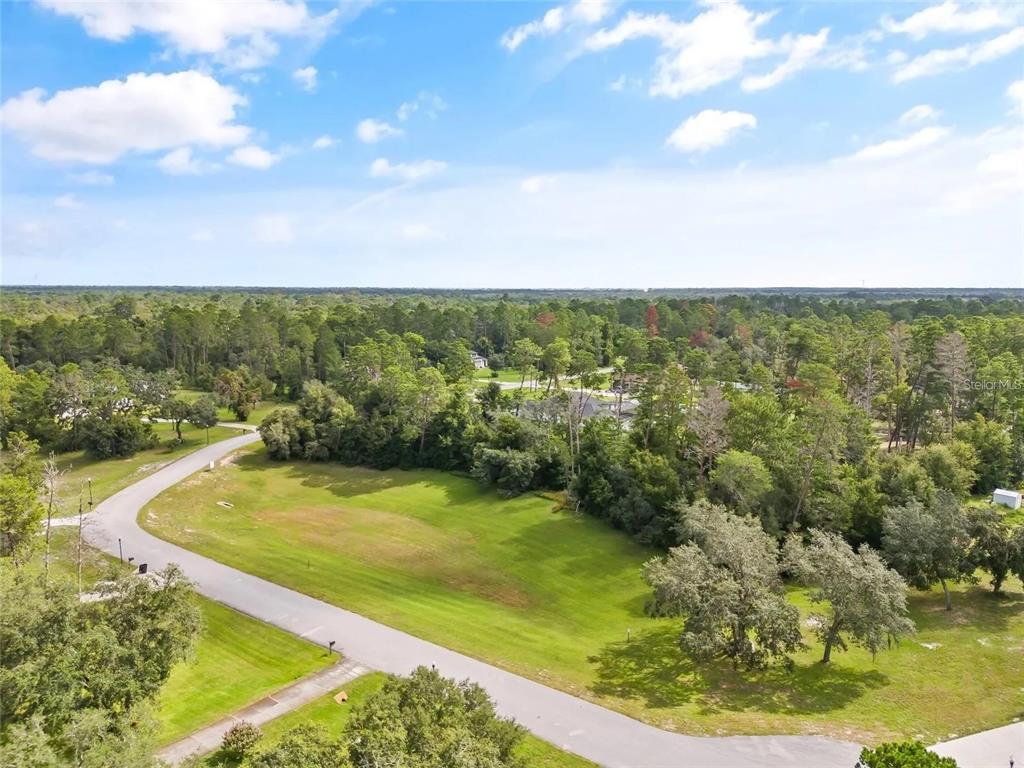 An aerial view shows a paved road curving past a grassy lot surrounded by trees — 13615 GOPHER POND CT, HUDSON, FL