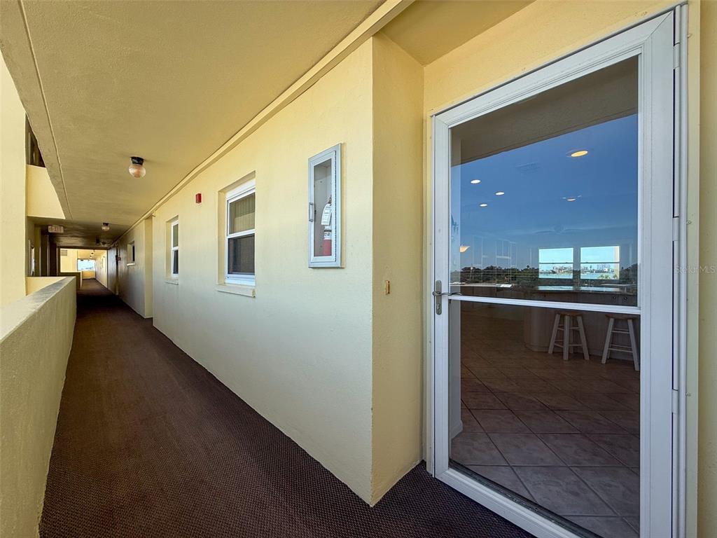 An outdoor hallway with carpeted flooring leads to a glass-paned door of a residential unit — 4550 COVE CIRCLE UNIT 507, ST PETERSBURG, FL