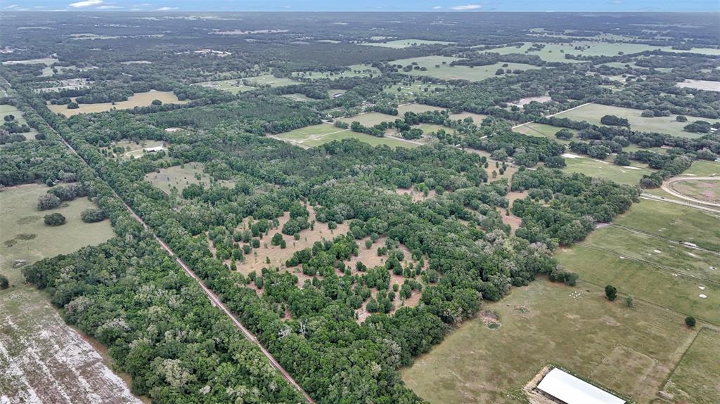 An aerial view shows a large, wooded plot of land surrounded by open grassy fields — 650 NE 200TH AVENUE, WILLISTON, FL