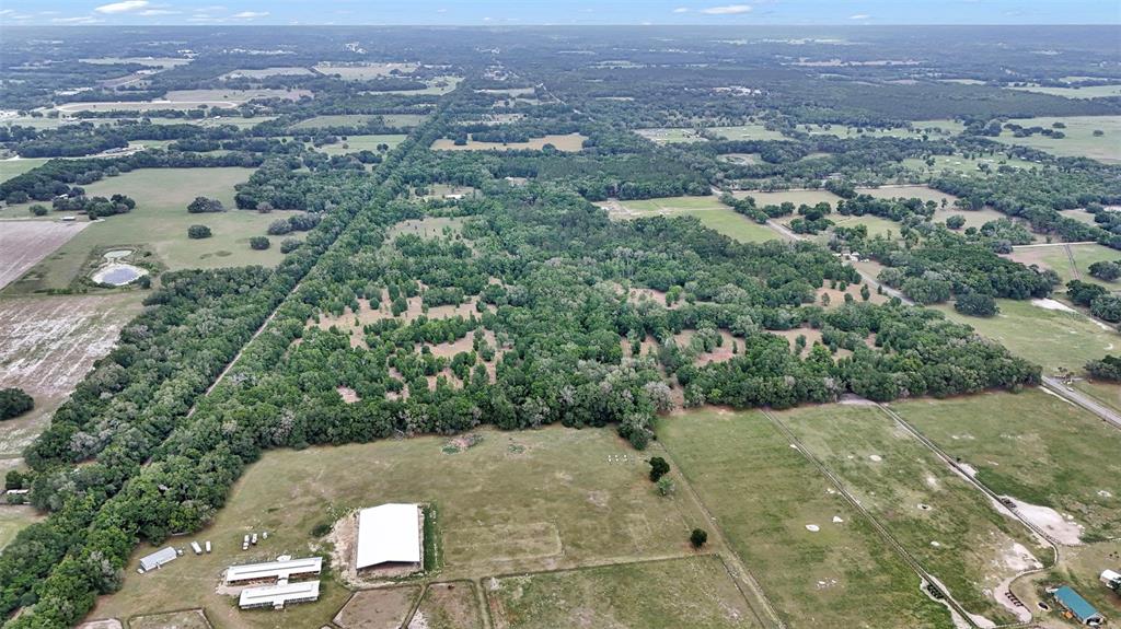 An aerial view shows a rural property with a large forested area, pastures, and buildings — 650 NE 200TH AVENUE, WILLISTON, FL