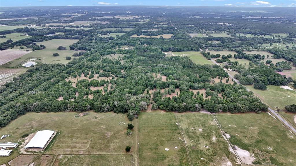 An aerial view shows a large expanse of green pastureland bordering a dense wooded area — 650 NE 200TH AVENUE, WILLISTON, FL