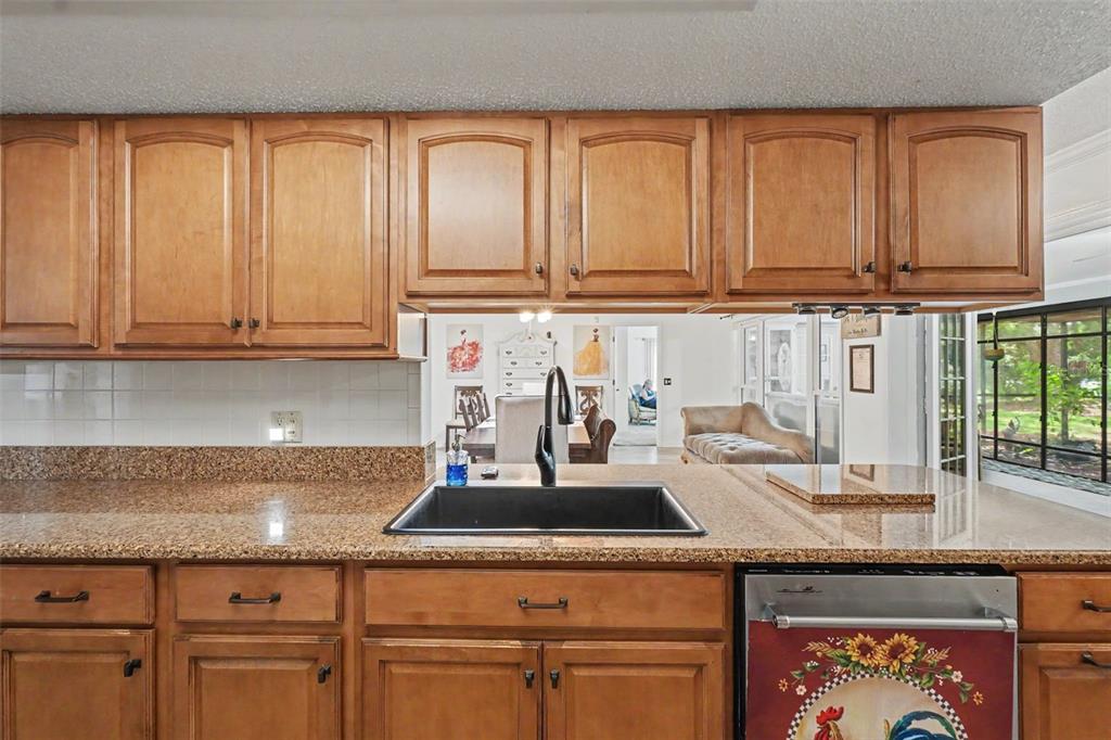 A kitchen features wood cabinets, granite countertops, a black sink, and a stainless steel dishwasher — 8251 EARLSHIRE LANE, SPRING HILL, FL