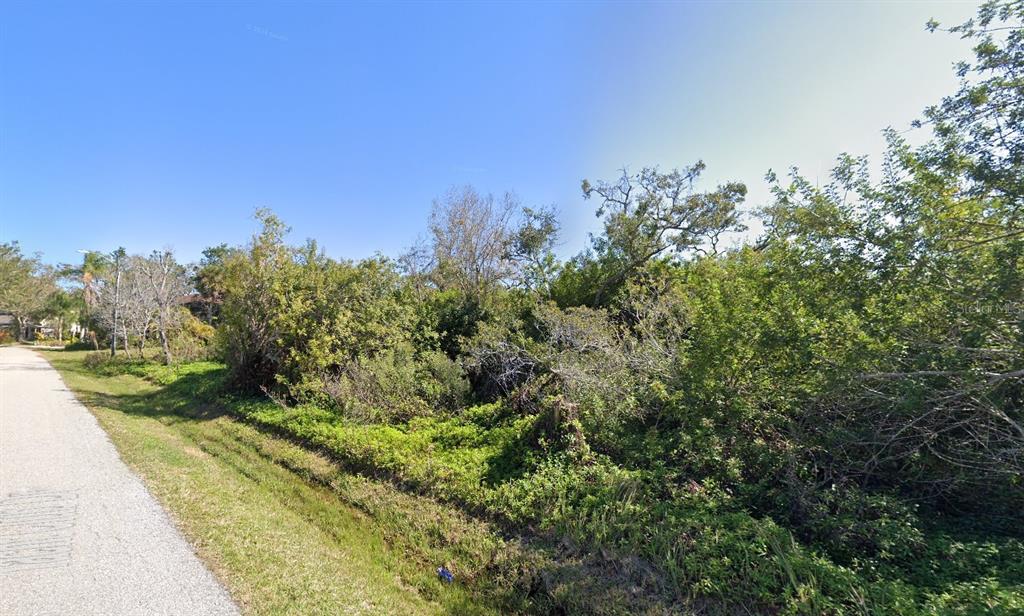 A view of a vacant, overgrown lot bordered by a paved road and dense vegetation — YACHT CLUB DRIVE, VENICE, FL