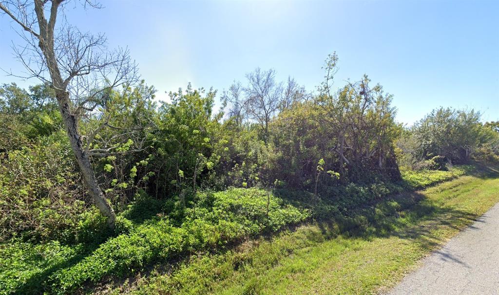 A dense thicket of trees and shrubs borders a paved road on a sunny day — YACHT CLUB DRIVE, VENICE, FL