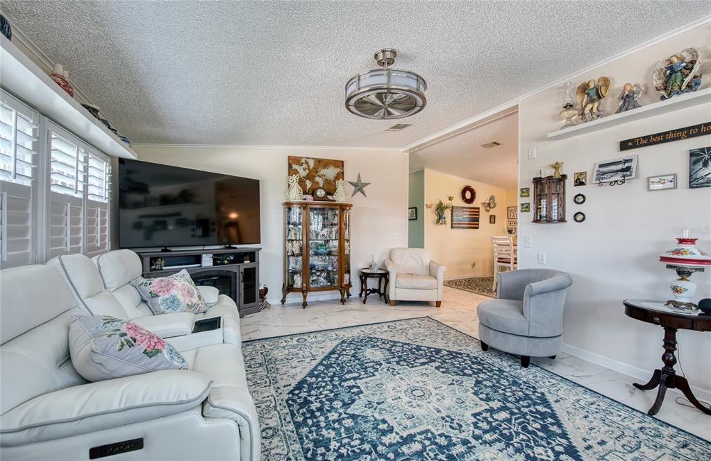 A living room features a white sofa, a blue patterned rug, and a glass display cabinet — 214 DOLPHIN DRIVE N, OLDSMAR, FL