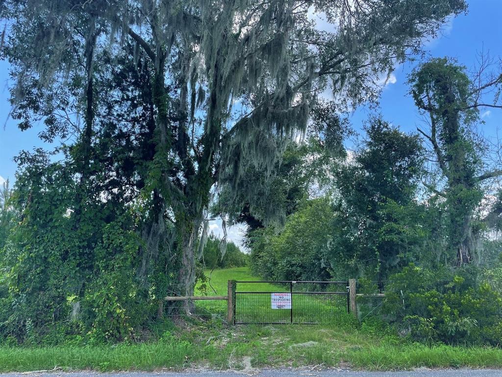 A gated entrance leads to a grassy path between large trees draped in Spanish moss — Parcel C NW 160TH AVENUE, MORRISTON, FL