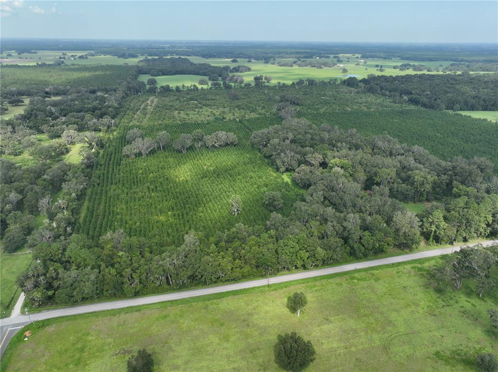 An aerial view shows a paved road bordering a large wooded area and open pasture — Parcel C NW 160TH AVENUE, MORRISTON, FL
