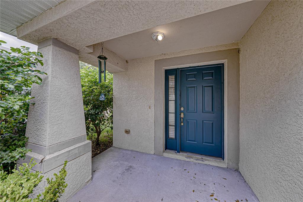 A covered front porch features a blue front door with a side window and stucco walls — 11578 HAMMOCKS GLADE DRIVE, RIVERVIEW, FL