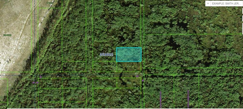 This is an aerial map showing a highlighted rectangular plot of land surrounded by vegetation — COMMONWEALTH AVE N, POLK CITY, FL