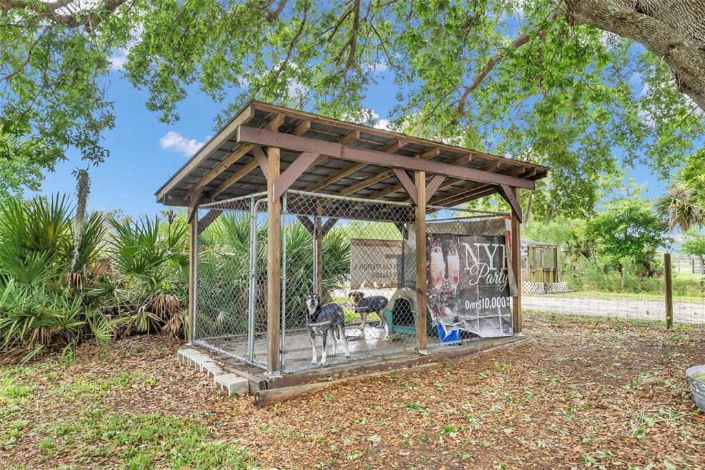 An outdoor dog kennel with a metal roof sits under trees on a dirt lot — 17255 NW 272ND STREET, OKEECHOBEE, FL
