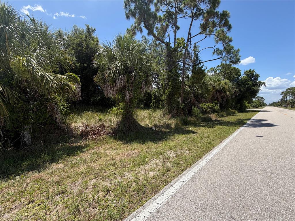 A paved road runs alongside a grassy lot with palm trees and dense vegetation — 17224 CLIFF AVENUE, PORT CHARLOTTE, FL