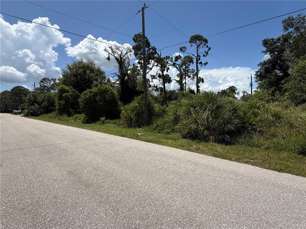 A paved road runs alongside a vacant, overgrown lot with trees and utility poles — 17224 CLIFF AVENUE, PORT CHARLOTTE, FL