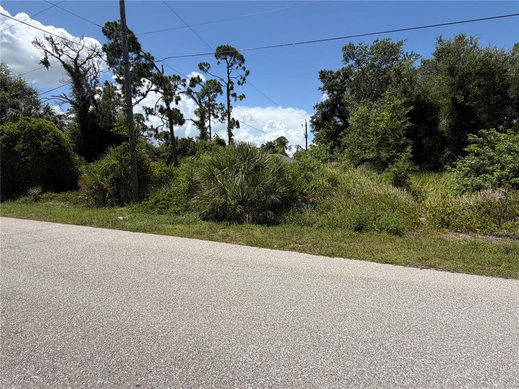 A paved road runs alongside a vacant, overgrown lot with trees and dense vegetation — 17224 CLIFF AVENUE, PORT CHARLOTTE, FL