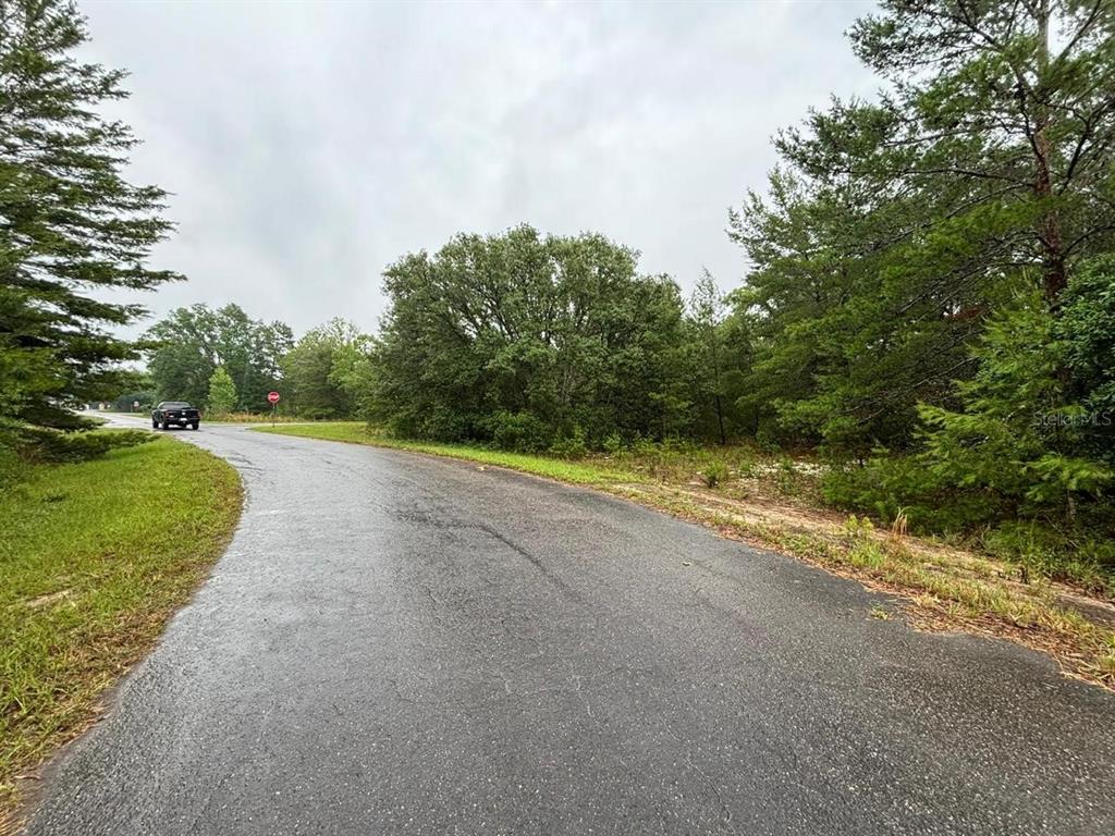 A paved road curves past a wooded, undeveloped lot under a cloudy sky — 16 FISHER COURT WAY, OCKLAWAHA, FL