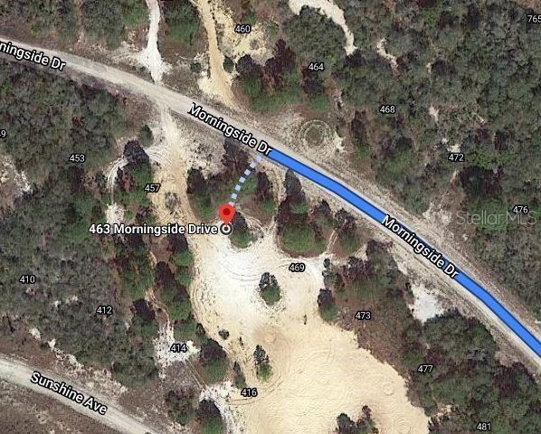 This is a satellite map view showing a vacant lot with a red location pin — 463 MORNINGSIDE DRIVE, LAKE PLACID, FL
