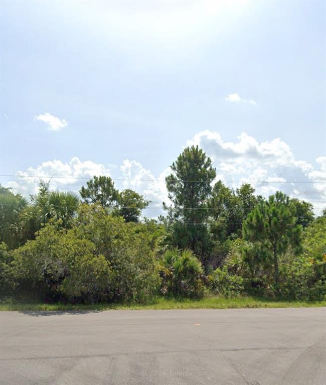 A vacant, wooded lot is viewed from an adjacent paved road under a cloudy sky — SAWYER CIRCLE, NORTH PORT, FL
