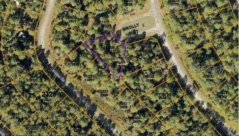 This is an aerial map showing a vacant, wooded lot outlined in purple — BROLLY STREET, NORTH PORT, FL