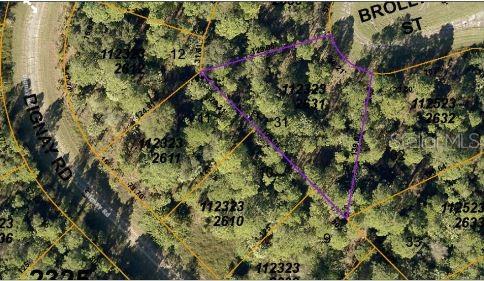 This is an aerial map showing a wooded residential lot outlined in purple — BROLLY STREET, NORTH PORT, FL