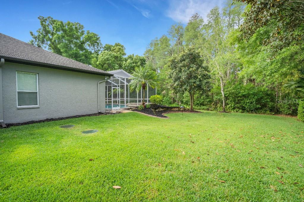 A grassy backyard features a screened-in pool enclosure and a wooded area in the background — 18212 KEYSTONE GROVE BOULEVARD, ODESSA, FL
