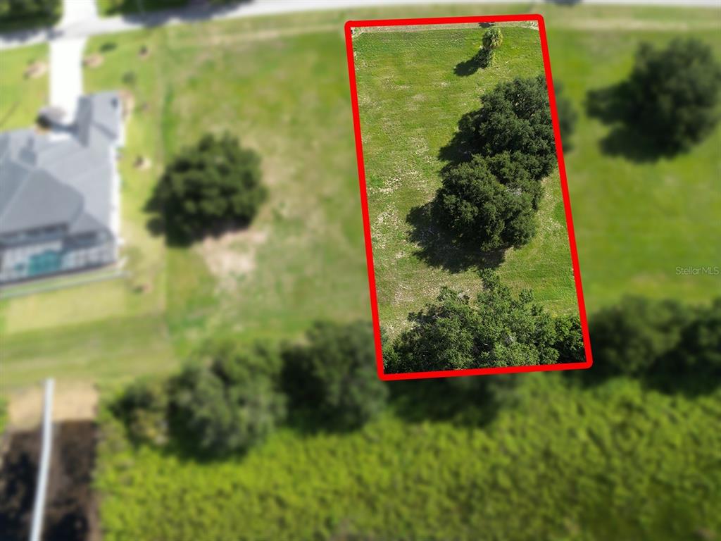 An aerial view shows a rectangular plot of land outlined in red with several trees — ROYAL PALM DRIVE UNIT 15, GROVELAND, FL