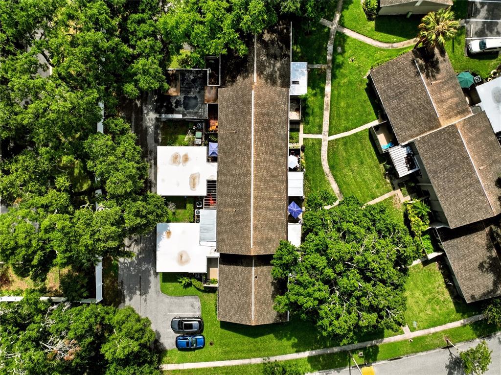 An aerial view shows a multi-unit residential building with brown roofs surrounded by green trees — 8003 JASMINE DRIVE UNIT 8003, TAMPA, FL