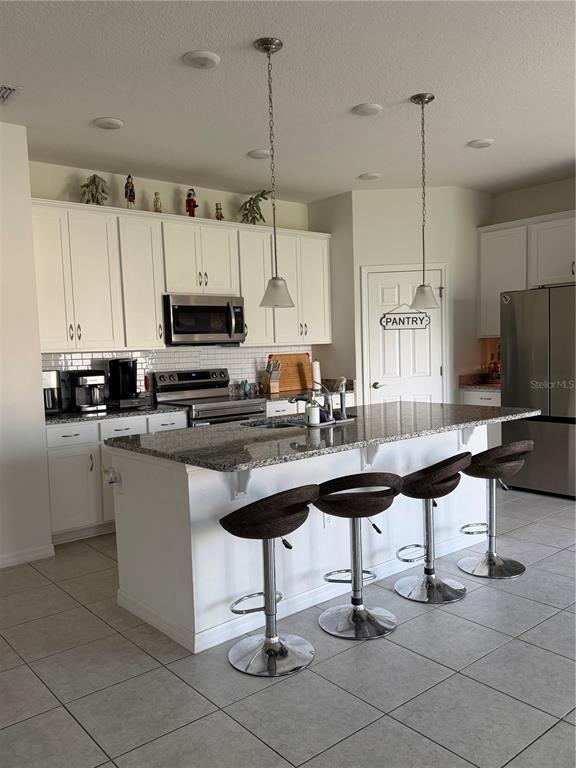 A single-story house with a stone facade, a two-car garage, and a large front tree — 24409 SUNNYS HALO WAY, SORRENTO, FL