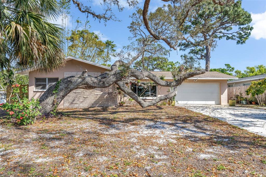1250 12TH COURT SW