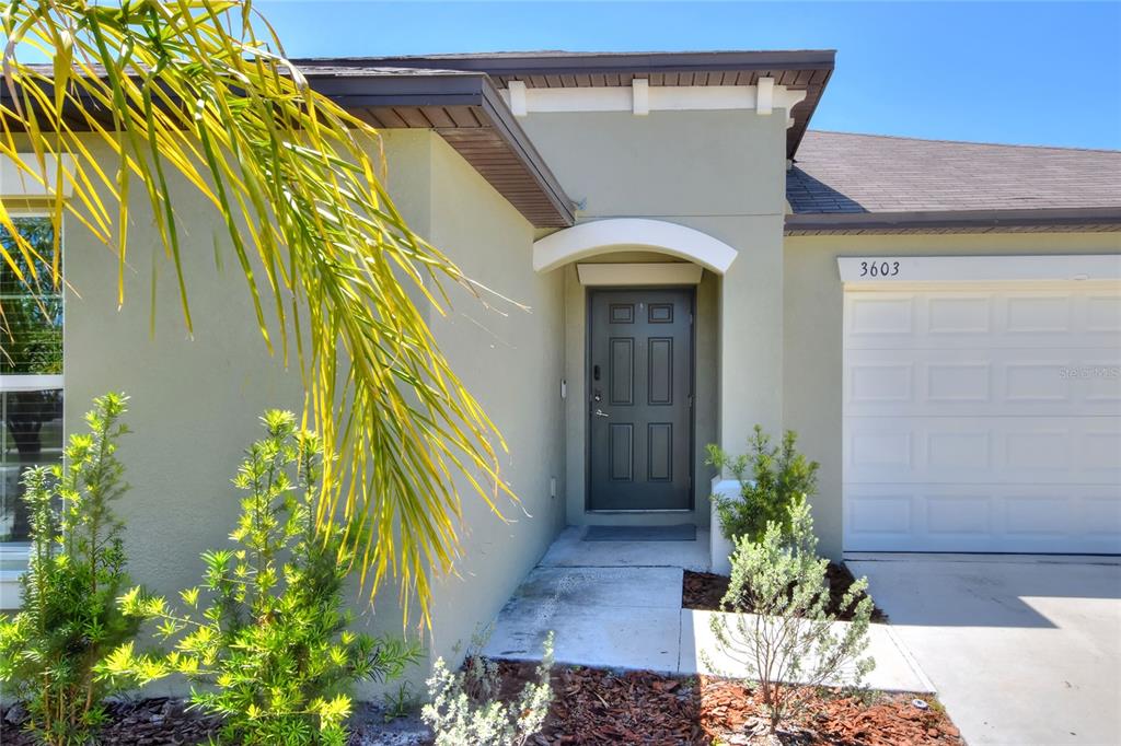 The exterior of a house features a dark front door, a garage, and a palm tree — 3603 NATURAL TRACE STREET, PLANT CITY, FL