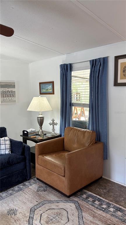 A living room features a tan leather armchair, a side table with a lamp, and curtains — 8456 SW STATE ROAD 47, LAKE CITY, FL
