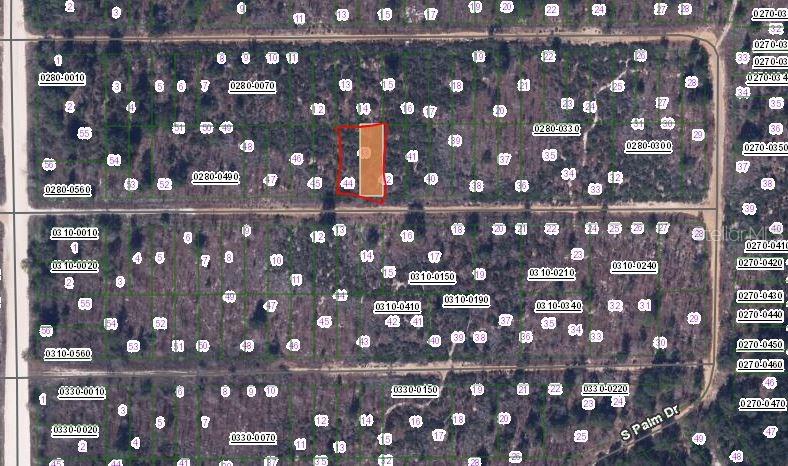 224 BIRCH STREET, INTERLACHEN, FL — photo 2 of 3