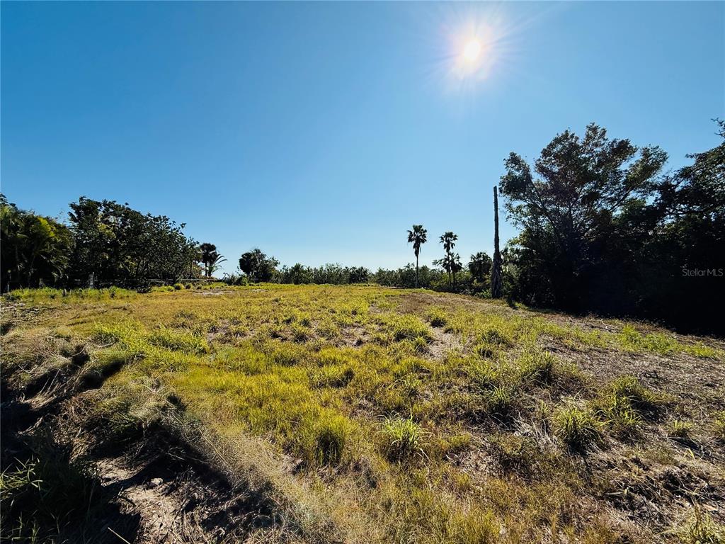 A grassy, undeveloped lot features scattered trees and palm trees under a bright sun — 6649 RENSSALAER DRIVE, BRADENTON, FL