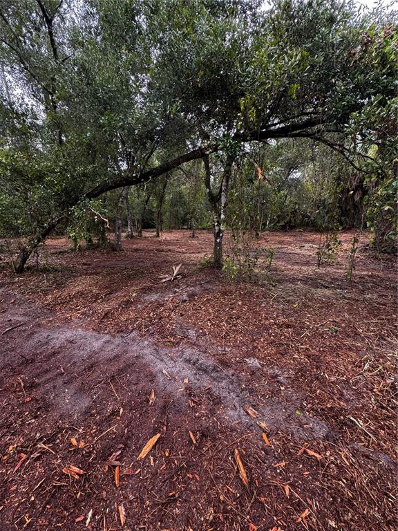 A wooded lot with cleared ground covered in wood chips and several mature trees — 17432 INGLEWOOD AVENUE, PORT CHARLOTTE, FL