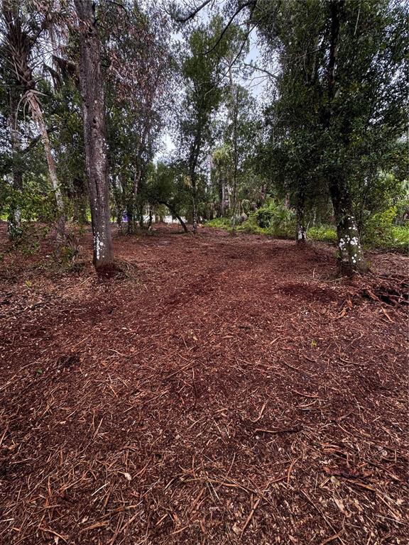 A wooded lot with cleared ground covered in pine needles and scattered trees — 17432 INGLEWOOD AVENUE, PORT CHARLOTTE, FL
